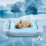 Self‑Cooling Ice Silk Pet Mat Small Blue