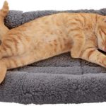 Small Cat Mat with Raised Pillow Edges