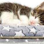 Two Ultra‑Soft Calming Blankets Indoor Cats