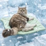Breathable Leaf‑Shaped Cooling Mat Cats Pets