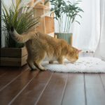 Fluffy Cushion Mat for Small Dogs Cats - Image 2