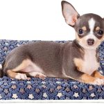 Ultra‑Soft Star‑Print Crate Pad Blue