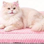 Durable Crate Mat for Extra‑Small Dogs Cats
