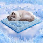 Dual‑Sided Cooling Mat with PCM Small
