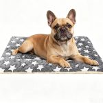 Machine‑Washable Grey Pet Crate Mat for Boxes
